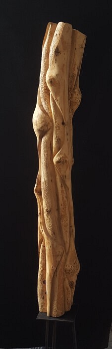 « Métamorphose » – Buis – 105 x 47 cm