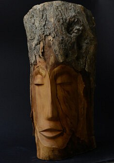 « Nefertiti » – Amandier – Hauteur : 60 cm; Circonf. 80 cm
