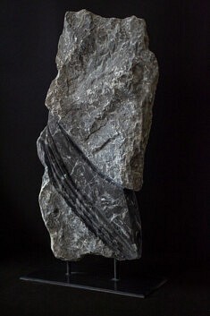  « Révélations » – Marbre de St Anne (Pyrénées) – 53 x 31 x 12cm