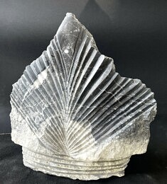 « Sérénade » – Marbre des Pyrénées – 34 x 32 x 9 cm