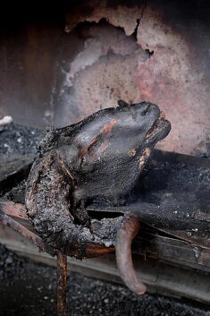 Taroudant (Maroc) - Février 2026