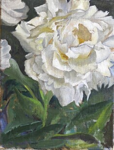 Pivoine blanche, huile sur toile 27 x 25 cm