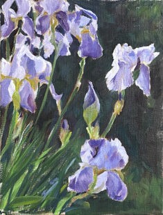Iris du lavoir, huile sur toile 37 x 25 cm