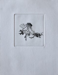 Anémone, Aquatinte 11 x 10 cm