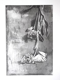 La chute, Aquatinte 30 x 20 cm