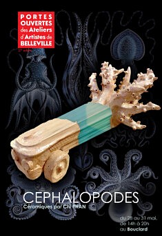 CÉPHALOPODES