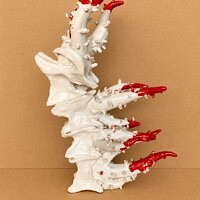 chi phan&nbsp;: Exposition