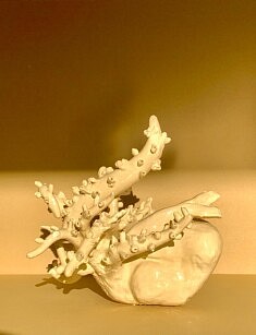 Sauvage - 30x20x30 cm