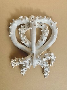 Tentacule 4 Tentacule 4