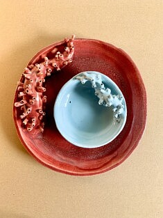 Tentacules rouge et bleu