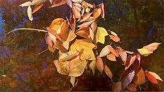 "Les nefs éphémères de l'automne". Mon 2 ème court métrage.©2024. Visible sur ma chaine you tube @christinehallo1538