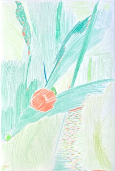Organique 2, crayons couleur, Format A3