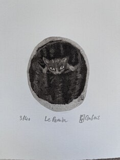 (c) Confais 2026 - Gravure Eau Forte 20 x 20 Le Panier