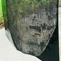 Dominique Humbert : Exposition