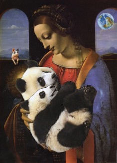 Mes amours de panda