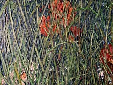 La sauterelle (détail)