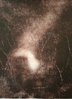 Monotype encre typographique, 39x29 cm