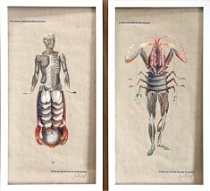 Hybridoïdes - Diptyque #10 (collage, pigments, texte, 20 x 40 cm chacun)