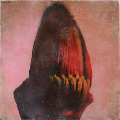 Musa Flos (encaustique - 15 x 15 cm)