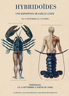 Hybridoïdes
