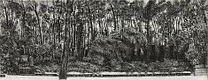 «Jardins des pierres Weissensee II» diptyque/ 2015  eau forte sur cuivre, matrices 2x 25x65 cm  tirage 25 ex noir sur hahnemühle 52x75 cm