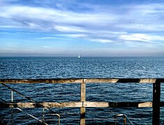 Le voilier - Noirmoutier - 2020