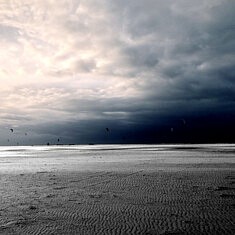 Les traces - Pays-bas - 2023
