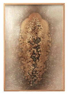 Nymphe - Chrysalide, 75x110 cm, papier, rhodoïd, colorant