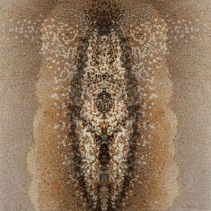 Nymphe - Mémore de l'origine, 50x70cm, papier, rhodoïd, colorant