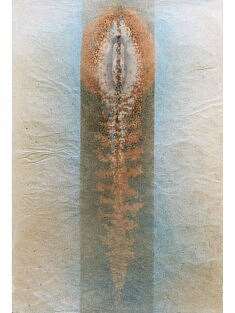 Nymphe - Métamorphose, 50x75 cm papiers, rhodoïd, colorant