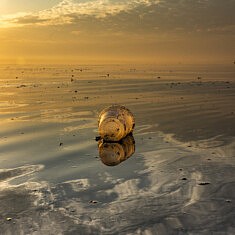 Sorry I trashed It, Floating, Long Island Sound New York USA © F. Emmanuel Bastien