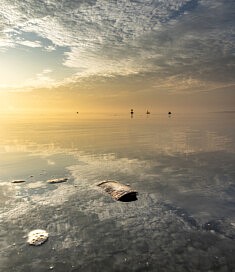 Sorry I trashed It, Floating, Long Island Sound New York USA © F. Emmanuel Bastien