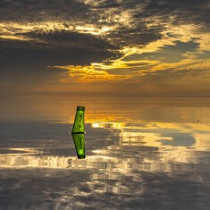 Sorry I trashed It, Floating, Long Island Sound New York USA © F. Emmanuel Bastien