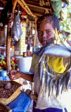 Kids at Work East Timor © F. Emmanuel Bastien