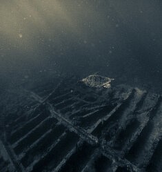 Sorry I trashed It, at the bottom, USVI St Croix © F. Emmanuel Bastien