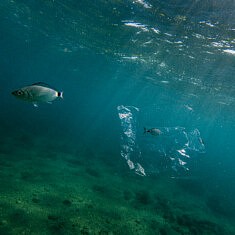 Sorry I trashed It, Underwater, Mediterranean, Greece © F. Emmanuel Bastien