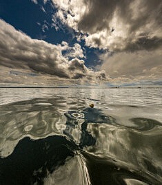 Sorry I trashed It, Floating, Long Island Sound New York USA © F. Emmanuel Bastien
