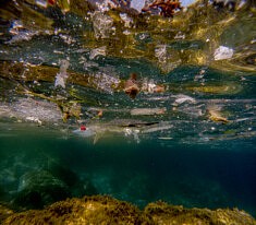 Sorry I trashed It, Underwater, Mediterranean, Spain © F. Emmanuel Bastien