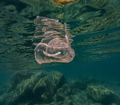 Sorry I trashed It, Underwater, Mediterranean, Greece © F. Emmanuel Bastien