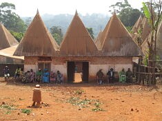 Badenkop Cameroun