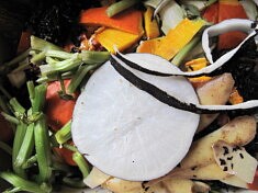 Prêt à composter 1