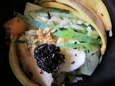 Prêt à composter 2