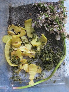 Prêt à composter 7