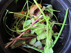 Prêt à composter 6