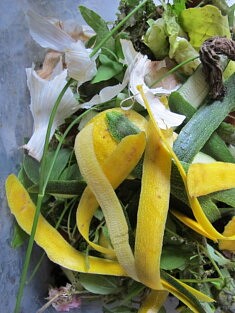 Prêt à composter 9