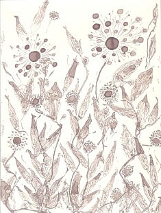 Samedanium fleuri Samedanium fleuri