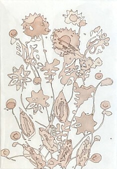 Petit Herbarium Petit Herbarium