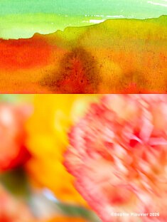 Photos montages, "Oeillet et paysage" - 2026