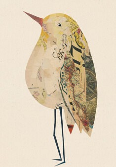 Oiseaux n° 11. Collage sur carton bois. 26 x 36cm environ.