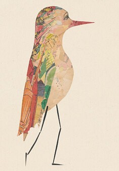 Oiseaux n° 40. Collage sur carton bois. 26 x 36 cm environ.
